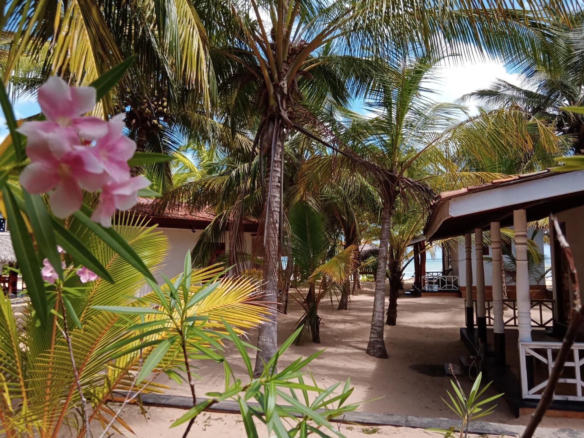 Ibisbird Beach Bungalows, Sport, Spa And Restaurant Tangalle Kültér fotó
