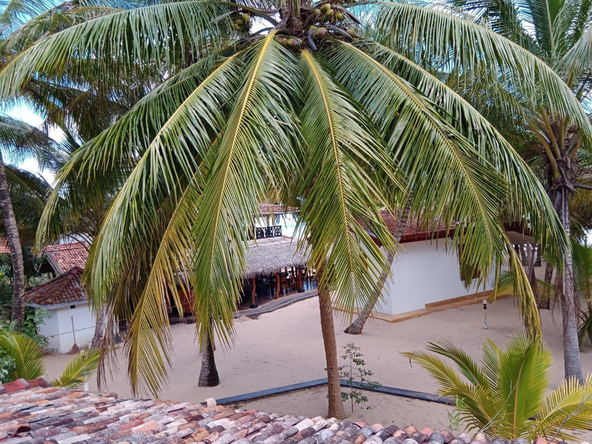 Ibisbird Beach Bungalows, Sport, Spa And Restaurant Tangalle Kültér fotó
