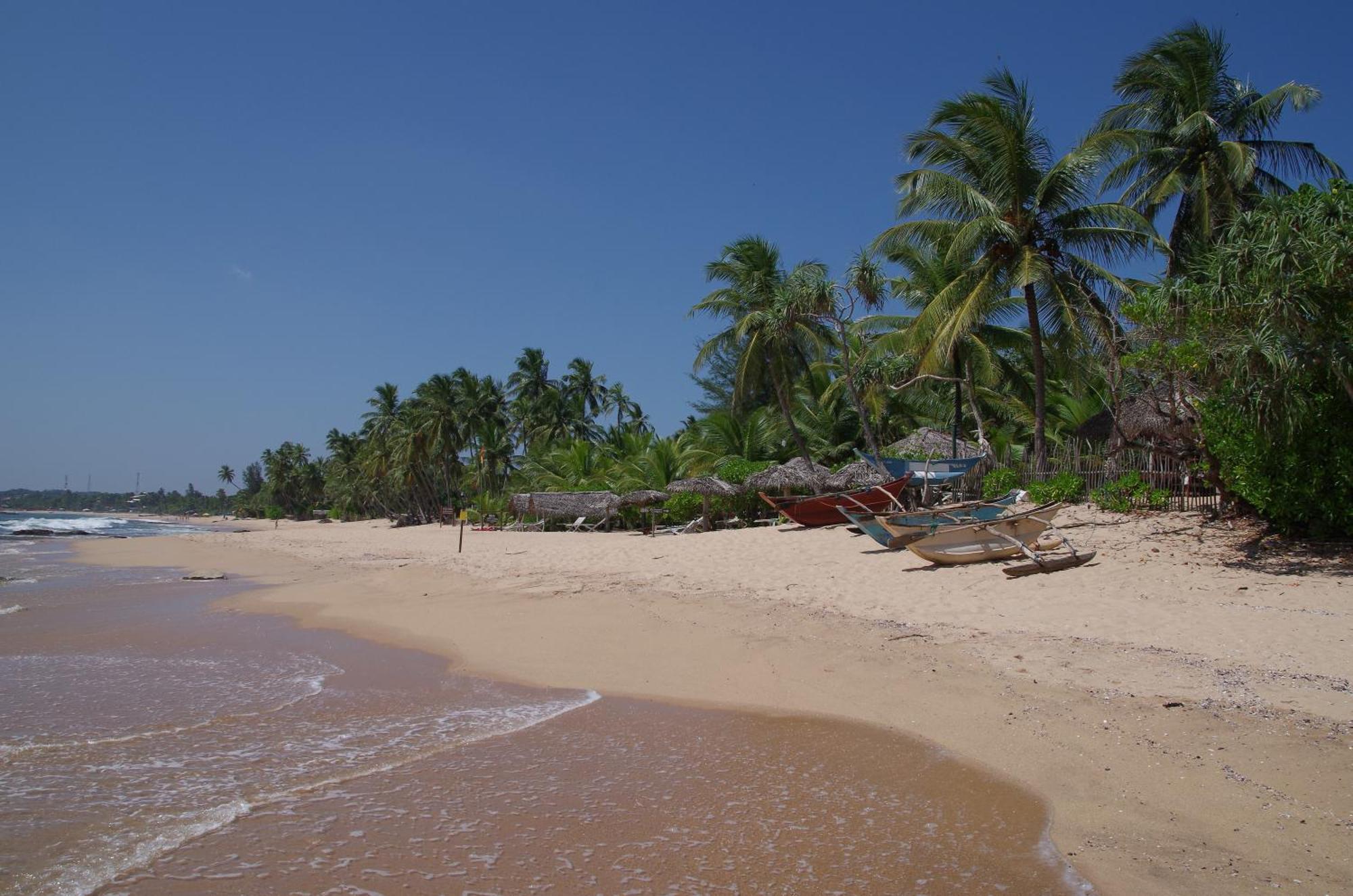 Ibisbird Beach Bungalows, Sport, Spa And Restaurant Tangalle Kültér fotó